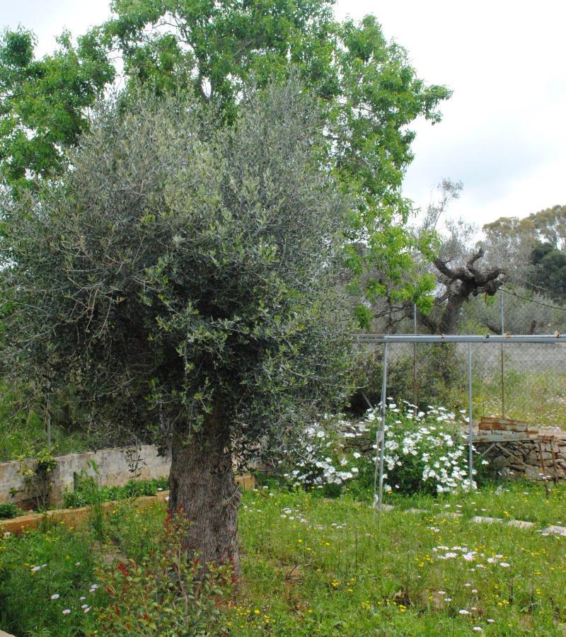 Microborgopasca Bed & Breakfast Sannicola Exterior photo